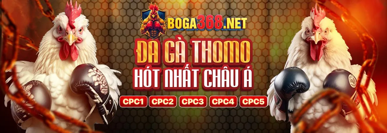 Đá Gà Trực Tuyến LU88 Nhà Cái
